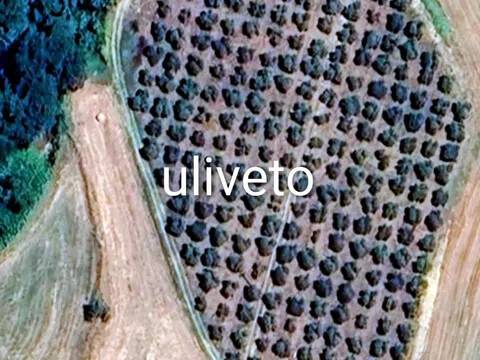 casa indipendente in vendita ad Orvieto