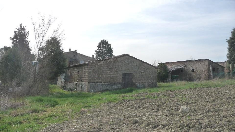 azienda agricola in vendita ad Orvieto in zona Torre San Severo
