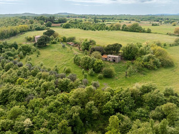 terreno agricolo in vendita ad Orvieto