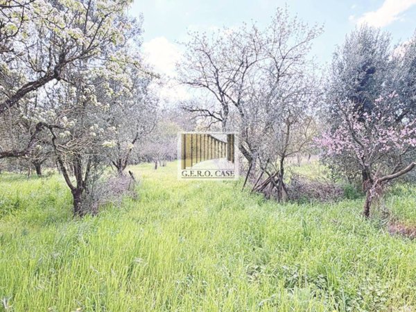 casa indipendente in vendita ad Orvieto