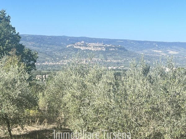 appartamento in vendita ad Orvieto in zona Ciconia