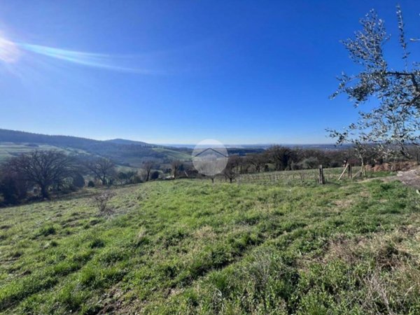 terreno agricolo in vendita ad Otricoli