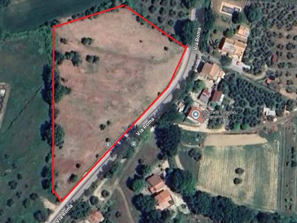 terreno agricolo in vendita ad Otricoli