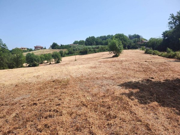 terreno agricolo in vendita ad Otricoli