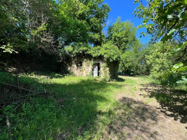 casa indipendente in vendita ad Otricoli