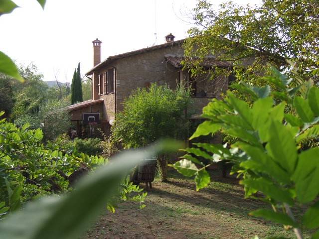 casa indipendente in vendita ad Otricoli