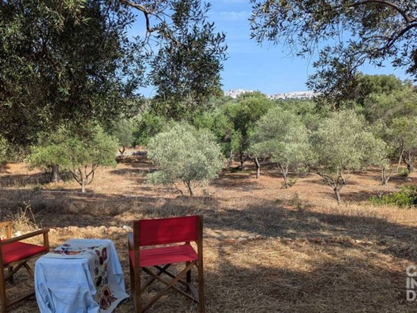 casa indipendente in vendita ad Otricoli