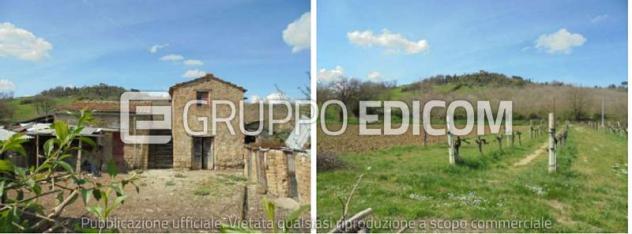 appartamento in vendita ad Otricoli