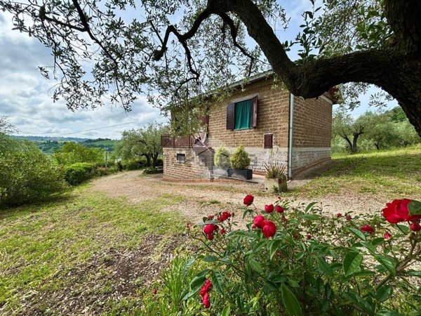 casa indipendente in vendita ad Otricoli