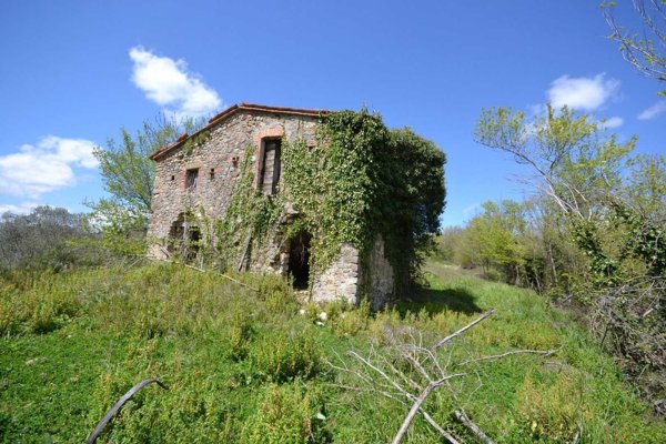 casa indipendente in vendita a Parrano