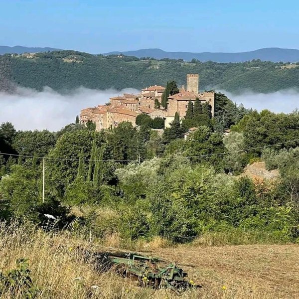 villa in vendita a Parrano