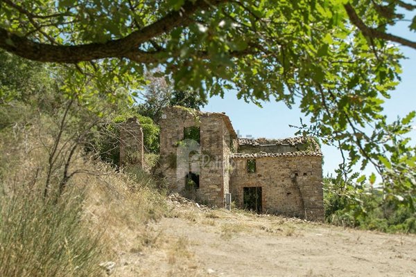 casa indipendente in vendita a Parrano