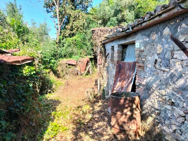 casa indipendente in vendita a Penna in Teverina