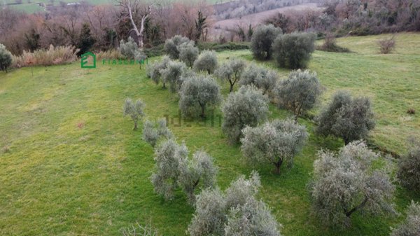 appartamento in vendita a Penna in Teverina