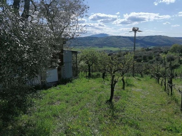 appartamento in vendita a Penna in Teverina