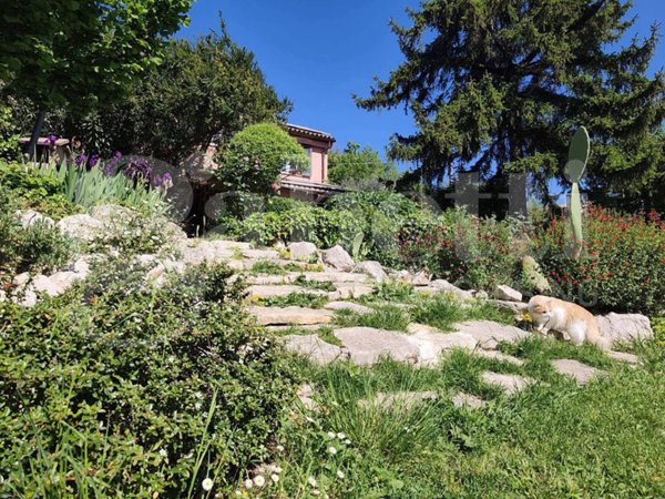 casa indipendente in vendita a Penna in Teverina