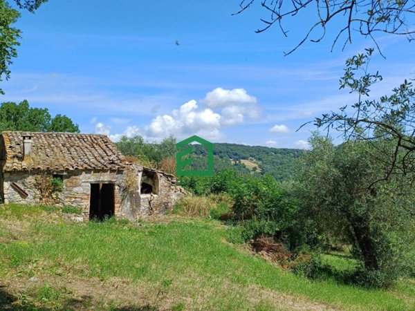 casa indipendente in vendita a Penna in Teverina
