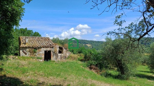 casa indipendente in vendita a Penna in Teverina