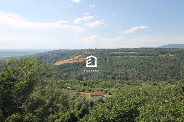 appartamento in vendita a Penna in Teverina