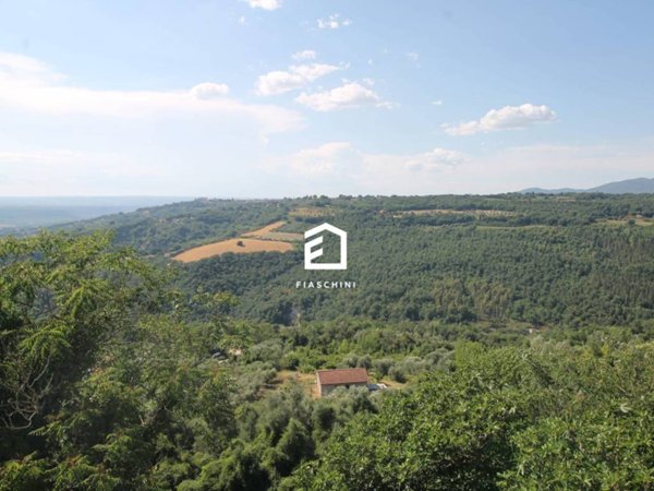 appartamento in vendita a Penna in Teverina