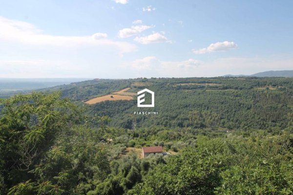appartamento in vendita a Penna in Teverina