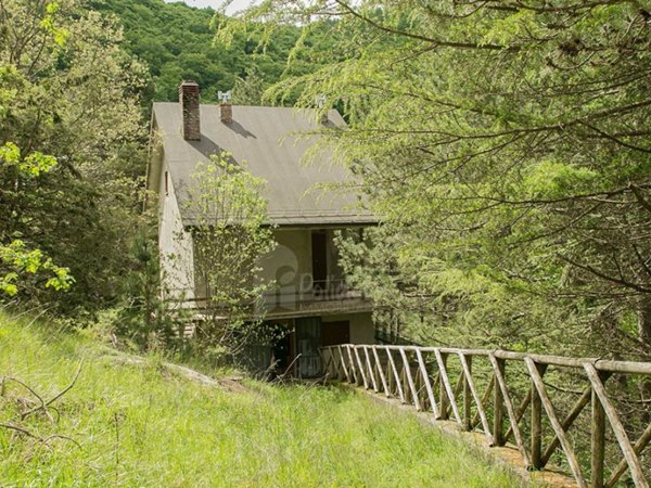 casa indipendente in vendita a Polino