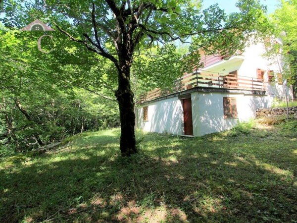 casa indipendente in vendita a Polino