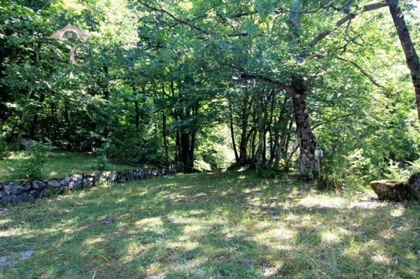 casa indipendente in vendita a Polino