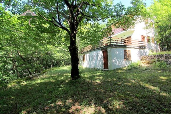 casa indipendente in vendita a Polino