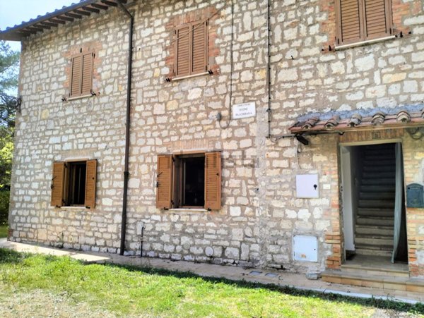 appartamento in vendita a Polino