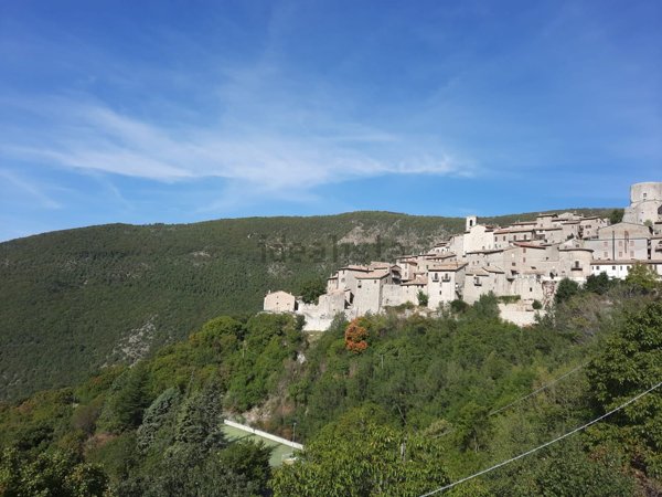 appartamento in vendita a Polino