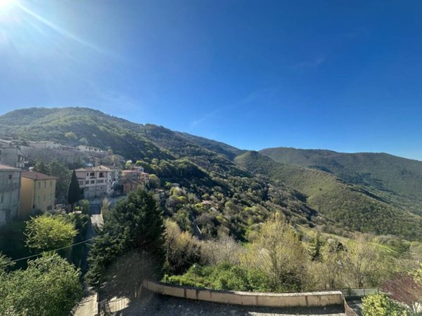 appartamento in vendita a Polino