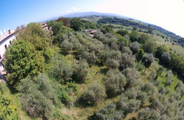 casa indipendente in vendita a Porano