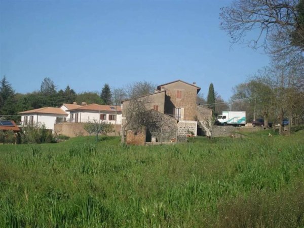 terreno agricolo in vendita a Porano