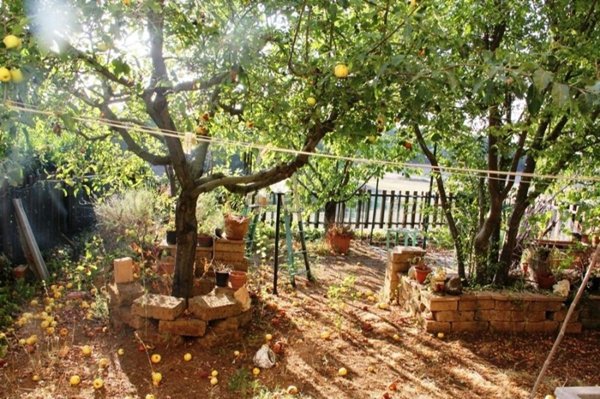 casa indipendente in vendita a Porano