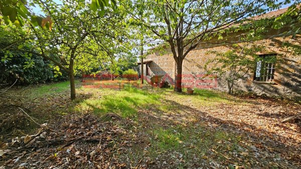 casa indipendente in vendita a Porano