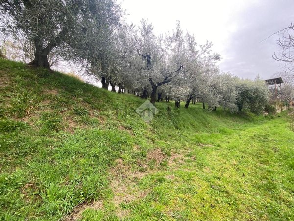 appartamento in vendita a San Gemini