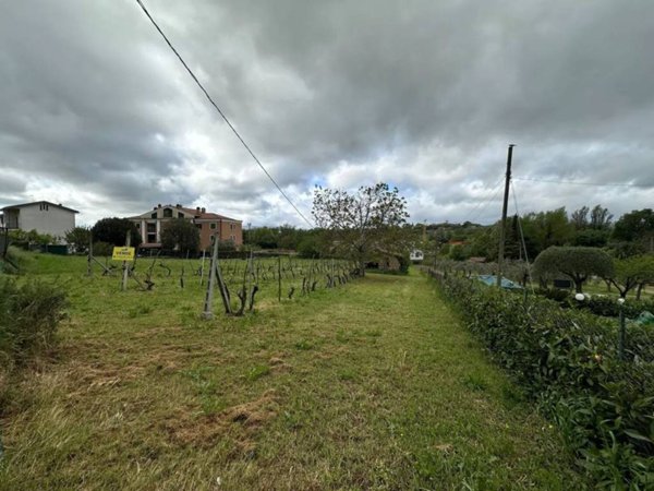terreno agricolo in vendita a San Gemini in zona Acquavogliera