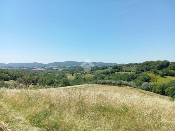 terreno agricolo in vendita a San Gemini