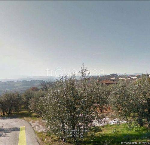 terreno agricolo in vendita a San Gemini