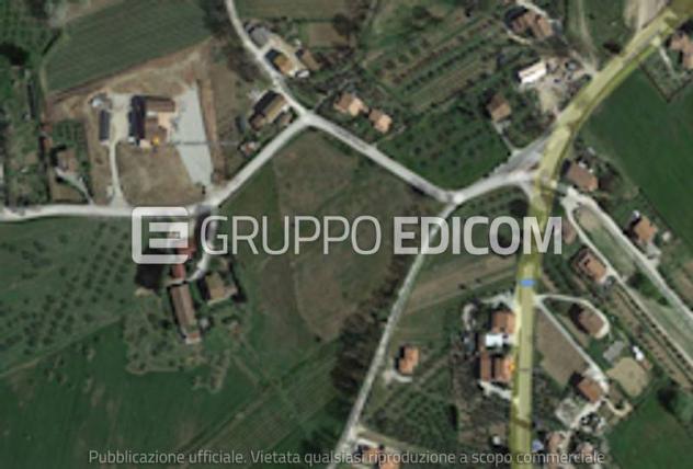 terreno agricolo in vendita a San Gemini