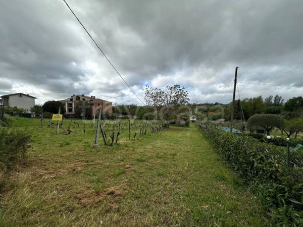 terreno agricolo in vendita a San Gemini in zona Acquavogliera