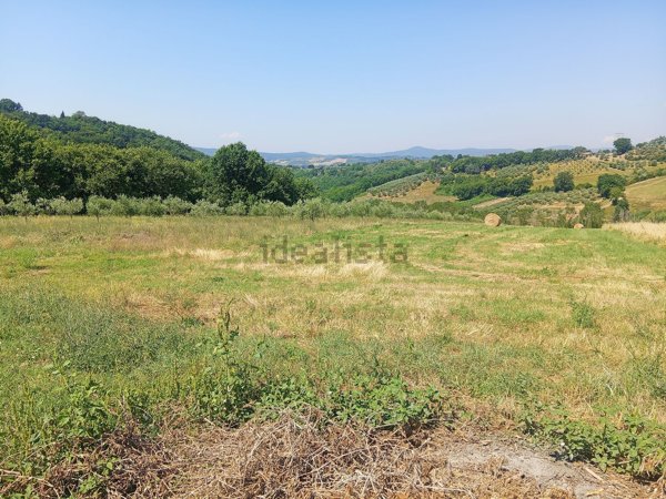 terreno agricolo in vendita a San Gemini
