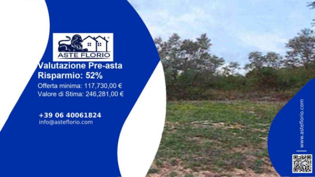 terreno agricolo in vendita a San Gemini