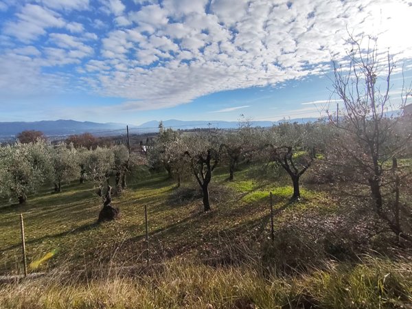 terreno edificabile in vendita a San Gemini