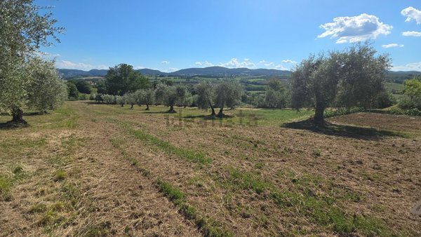 terreno edificabile in vendita a San Gemini in zona Quadrelletto