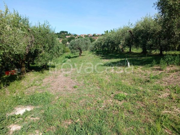 terreno agricolo in vendita a San Gemini in zona Acquavogliera