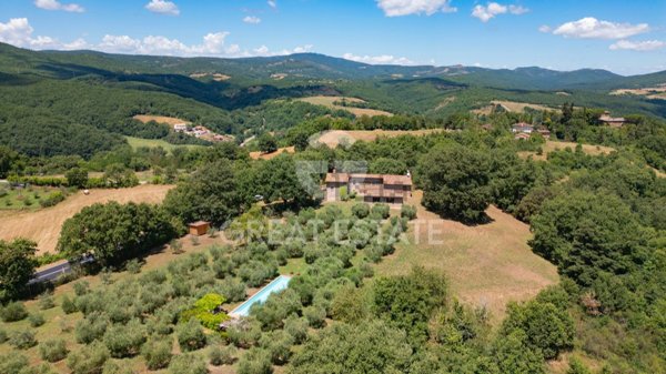 appartamento in vendita a San Venanzo