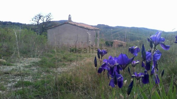 appartamento in vendita a San Venanzo in zona Ospedaletto