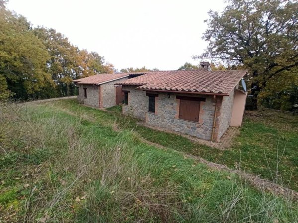 casa indipendente in vendita a San Venanzo in zona Ospedaletto